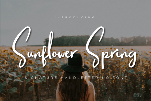Font Choice That Elevates Your Web Design: Sunflower Spring