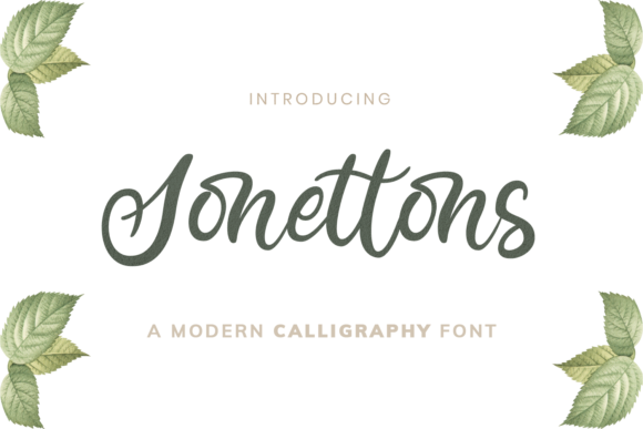 Font That Elevates Your Brand: Sonettons for Business