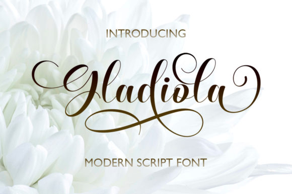 Gladiola: The Script Font That Elevates Brand Storytelling