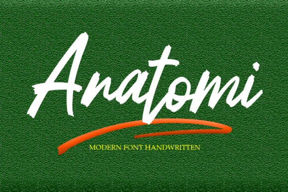 How Anatomi Transformed My Bakery’s Brand